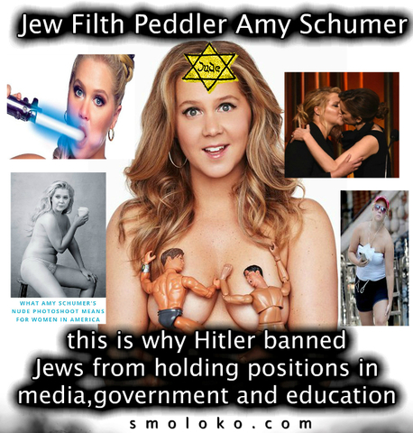 amy_Shumer_Degenerate_Meme.jpg