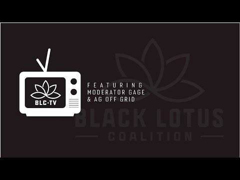 www.youtube.com