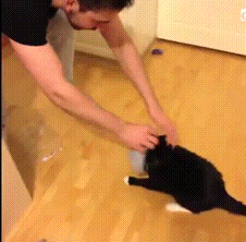 e34.gif