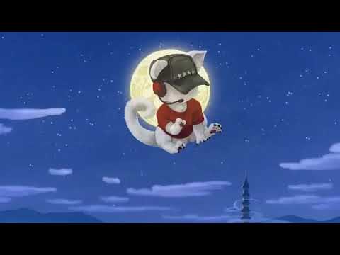 www.youtube.com