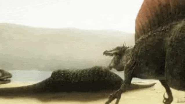 V6A9Z0s8_o.gif