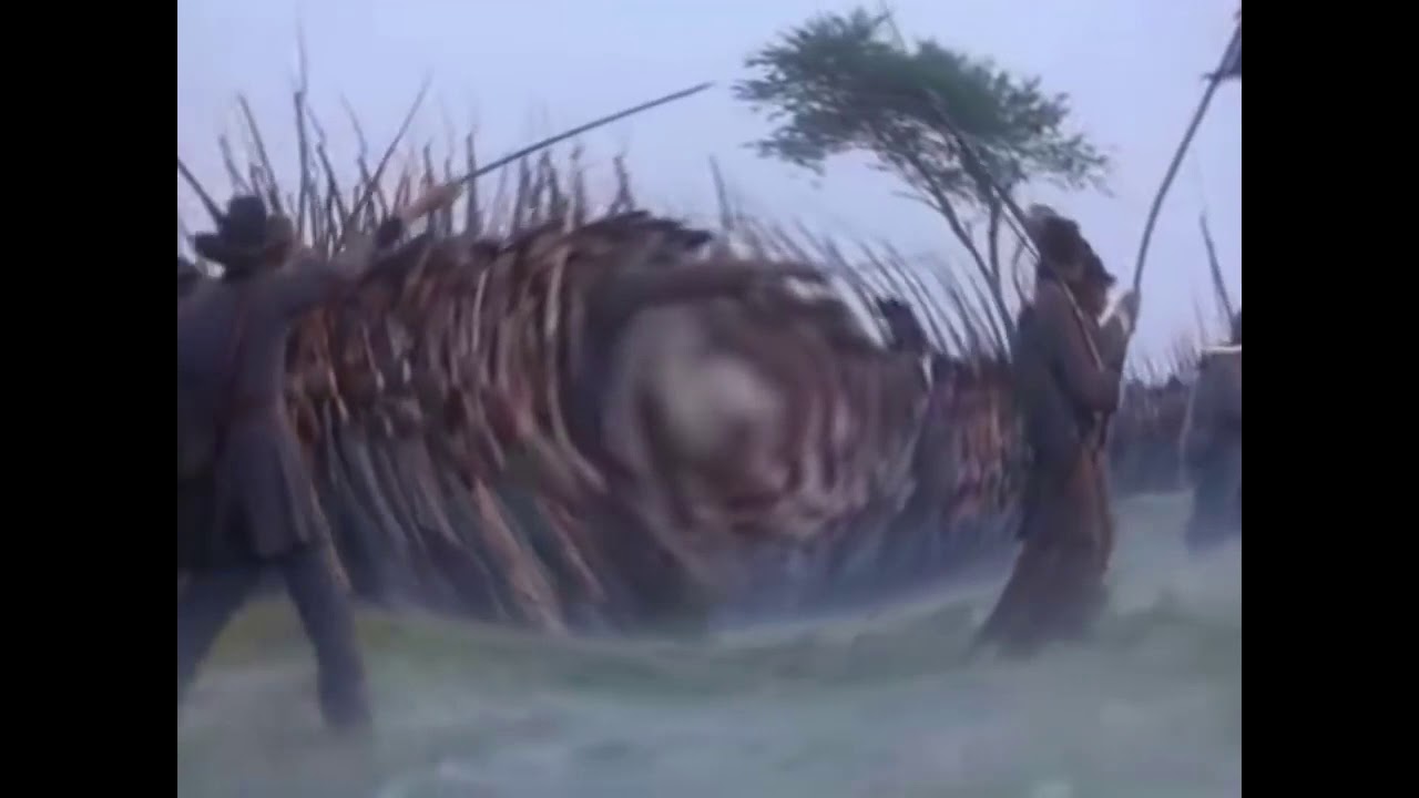 www.youtube.com