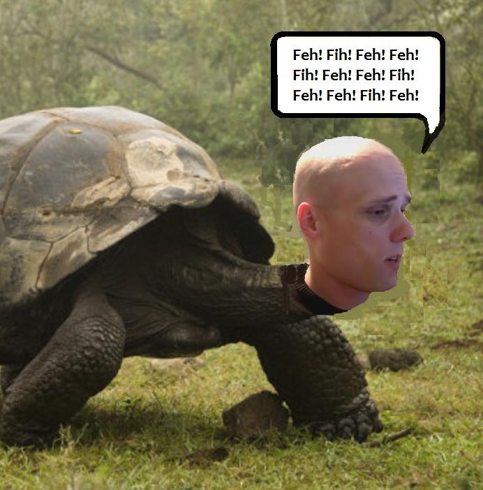 MF9dVUp.png