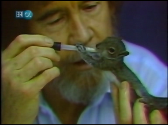 kxnewzk47u031.png