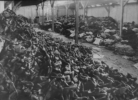 auschwitzshoes2.jpg