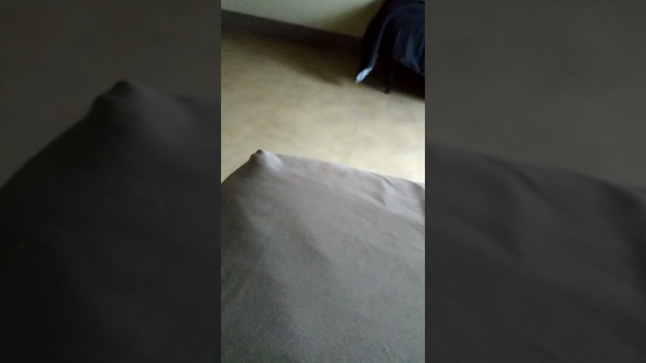 youtu.be