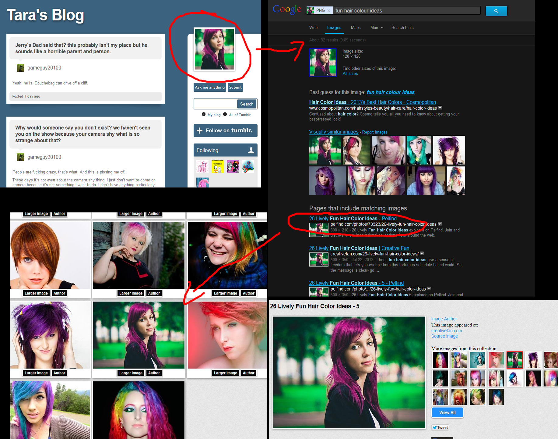 Taracalliefake.png