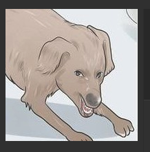 MCGorRX.png