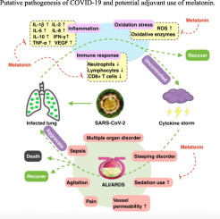 www.sciencedirect.com