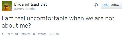 CeKsTf5UkAIrf6Y.jpg