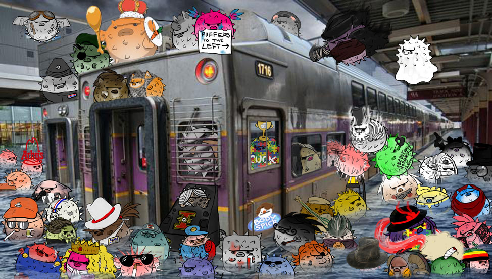 RuteZ95.jpg