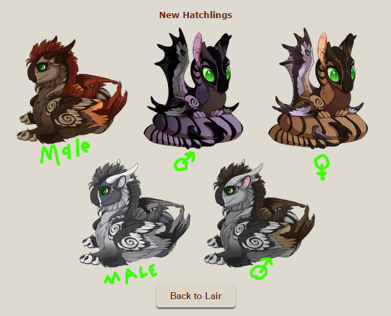 2bgTQ5E.png