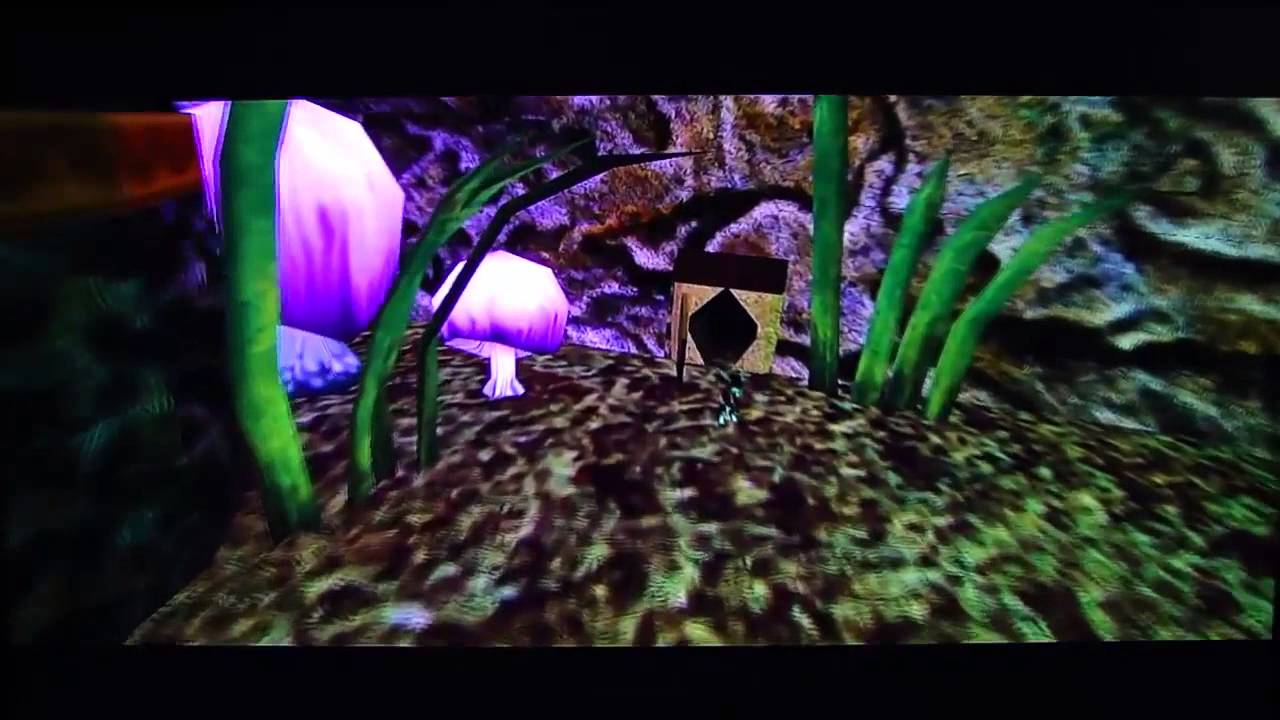 www.youtube.com