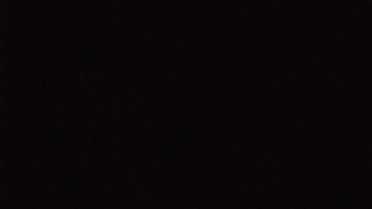 www.youtube.com