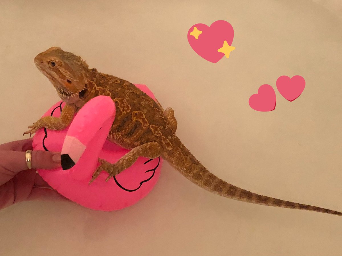 DZzve1BWkAAA7I7.jpg