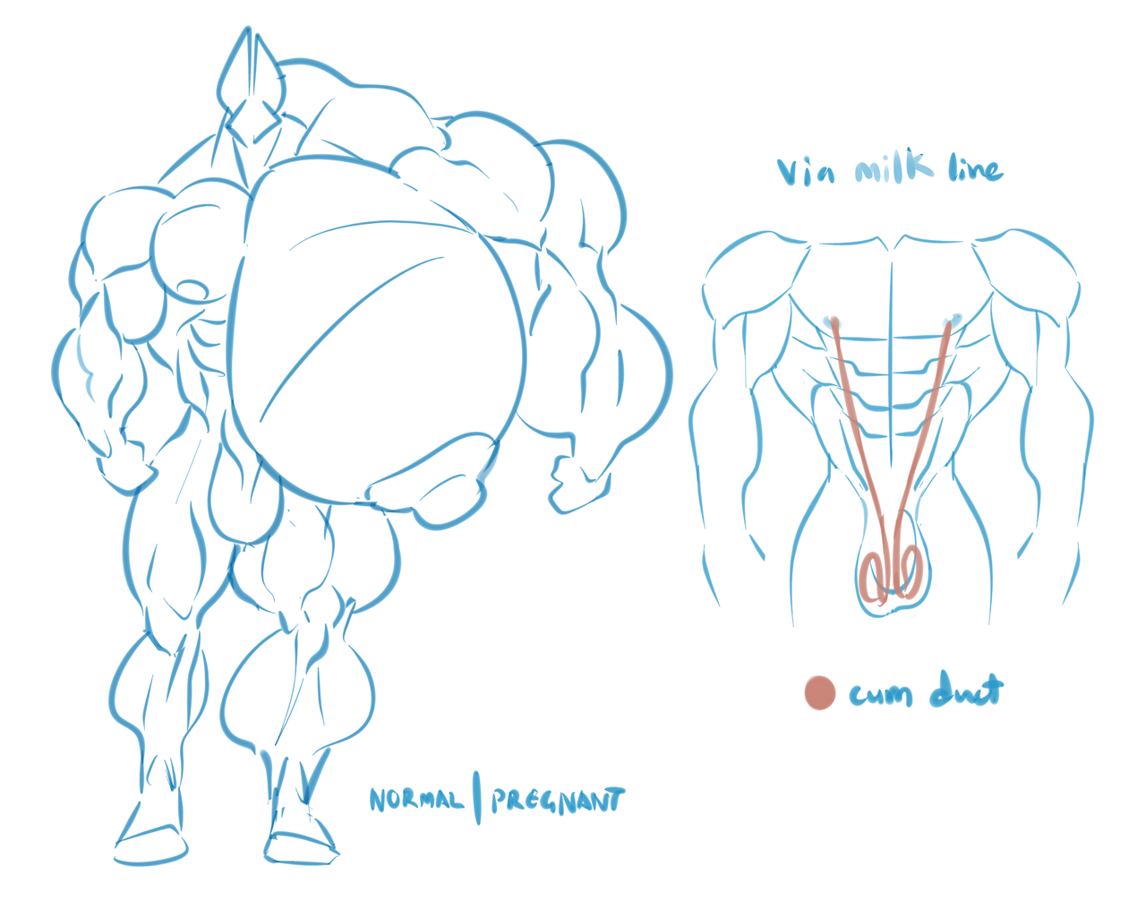 1401613574.wolfiecanem_diagram_2.png