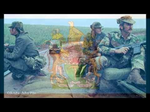 www.youtube.com