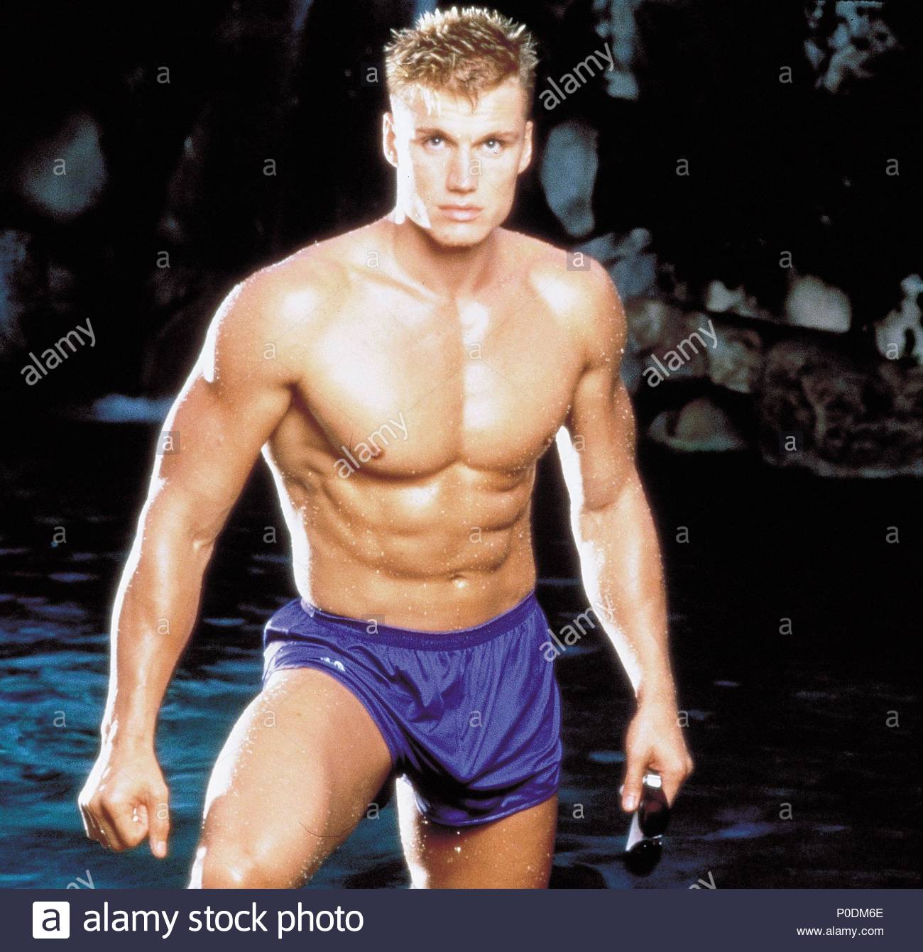 stelle-dolph-lundgren-p0dm6e.jpg