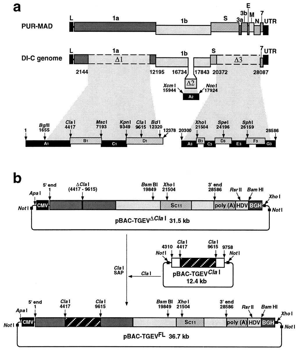 www.pnas.org