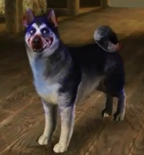 RlJ0wi9.png