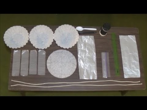 www.youtube.com