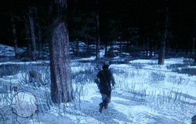 NNyP.gif