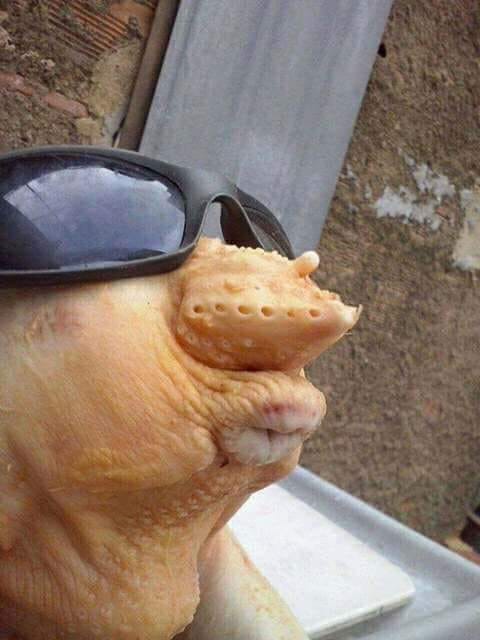vhhbkbzlpel11.jpg