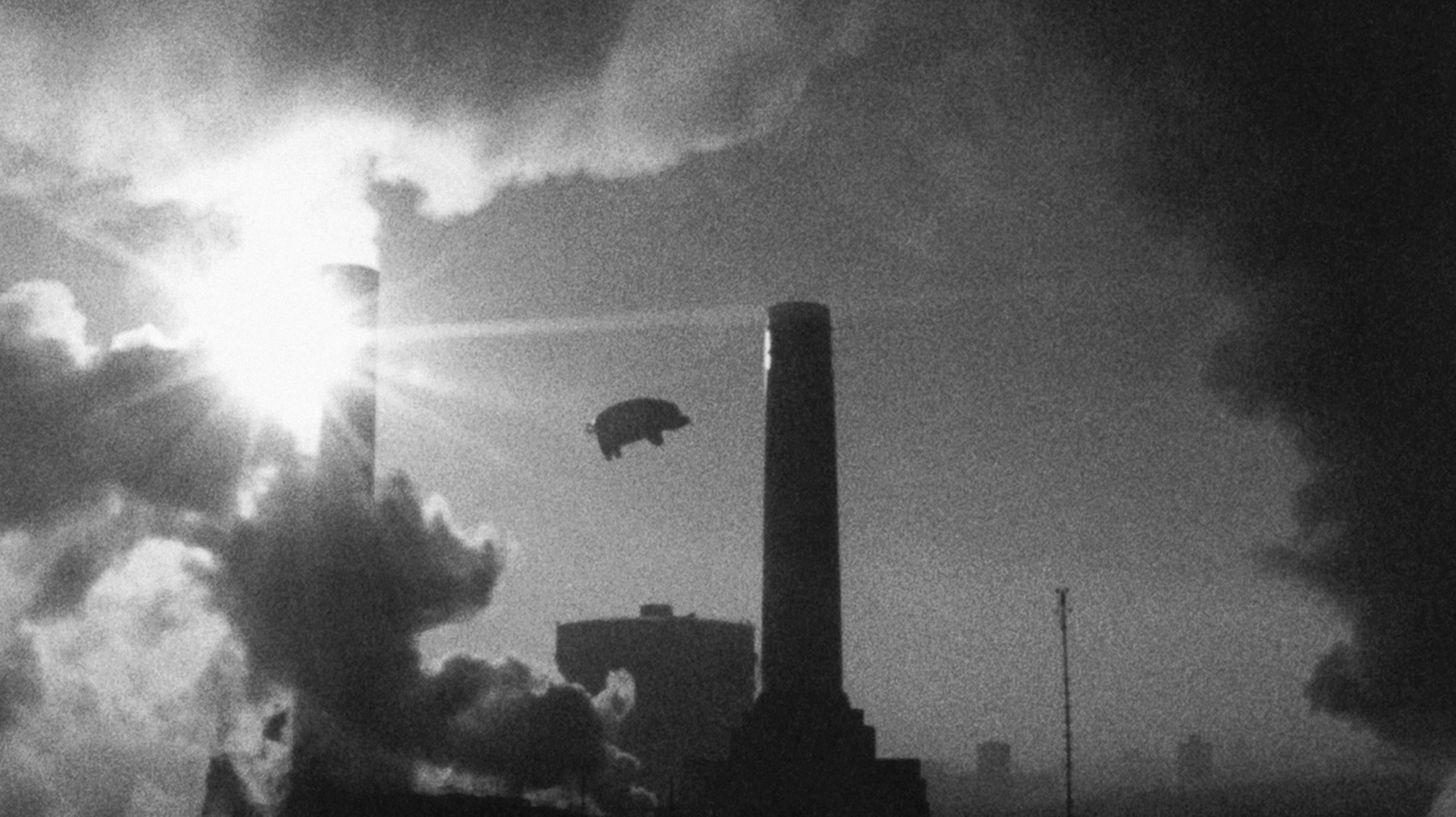 rogerwaters.com