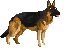 3Cbzno2.png