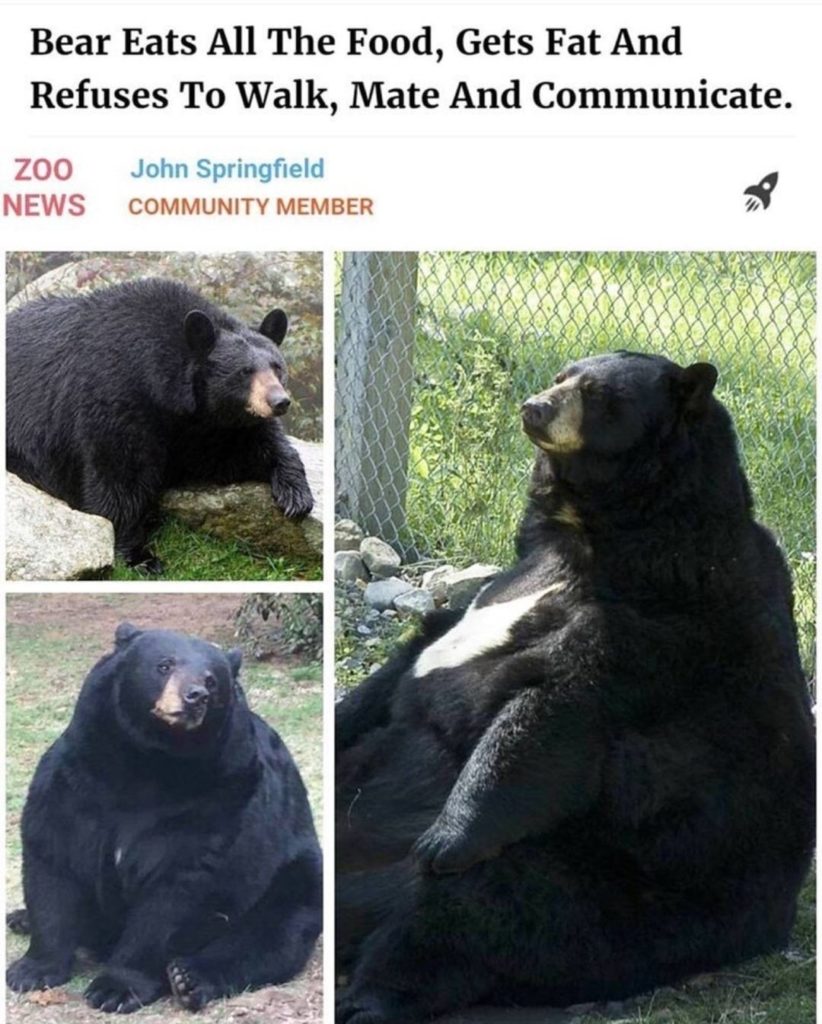 AlTX21WE_o.jpg