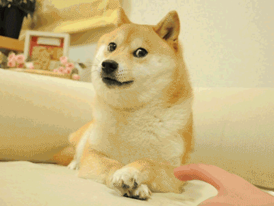 cGtOrAr.gif