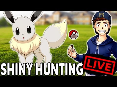 www.youtube.com