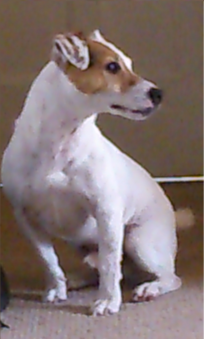 ccmLc0n.png