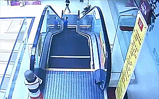 aYRISj0.gif