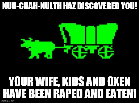 44q1vh.jpg