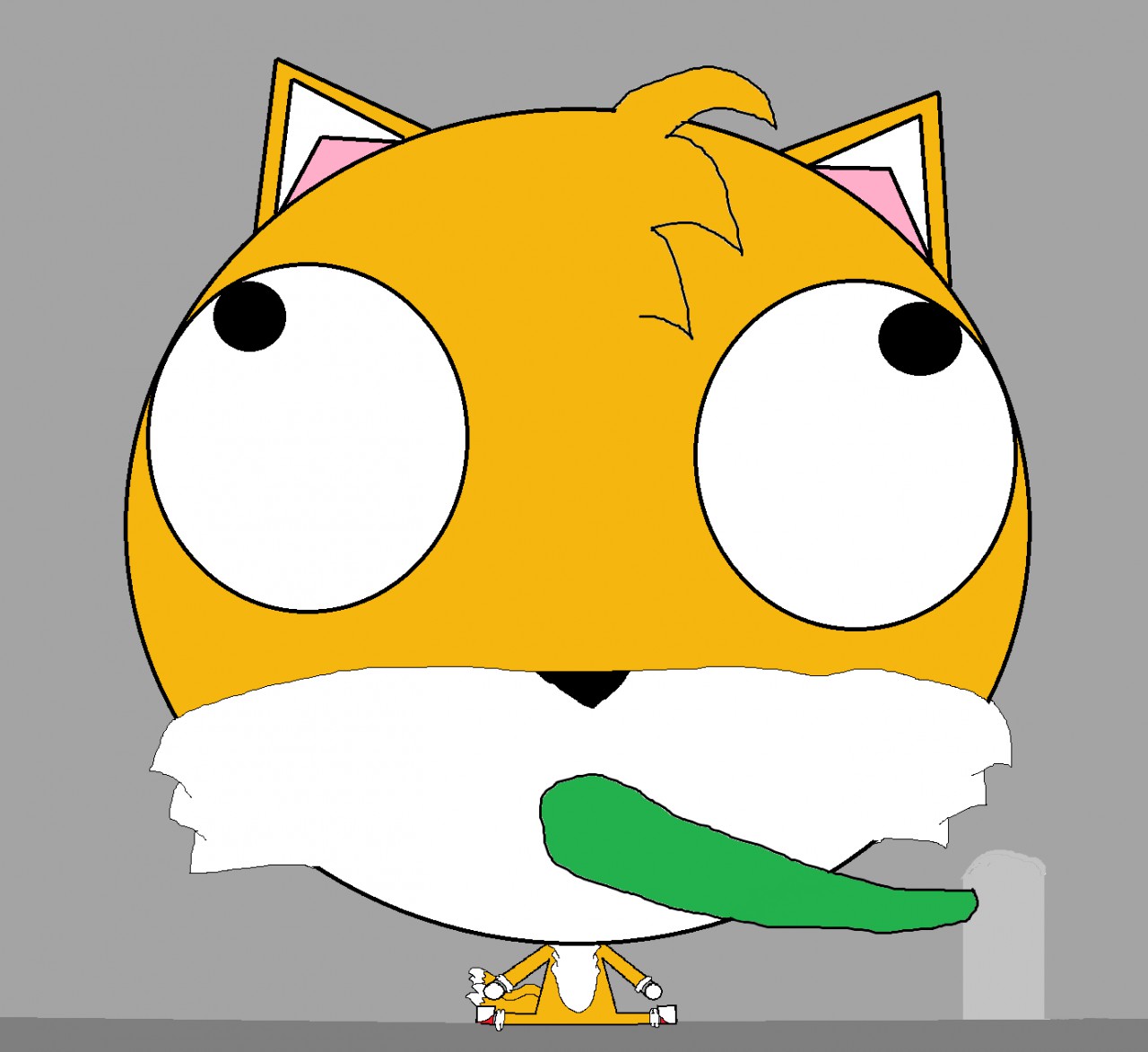 30494.png