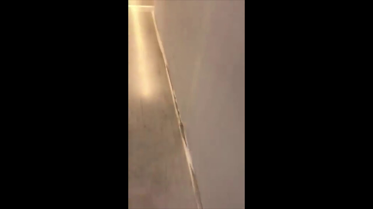 www.youtube.com