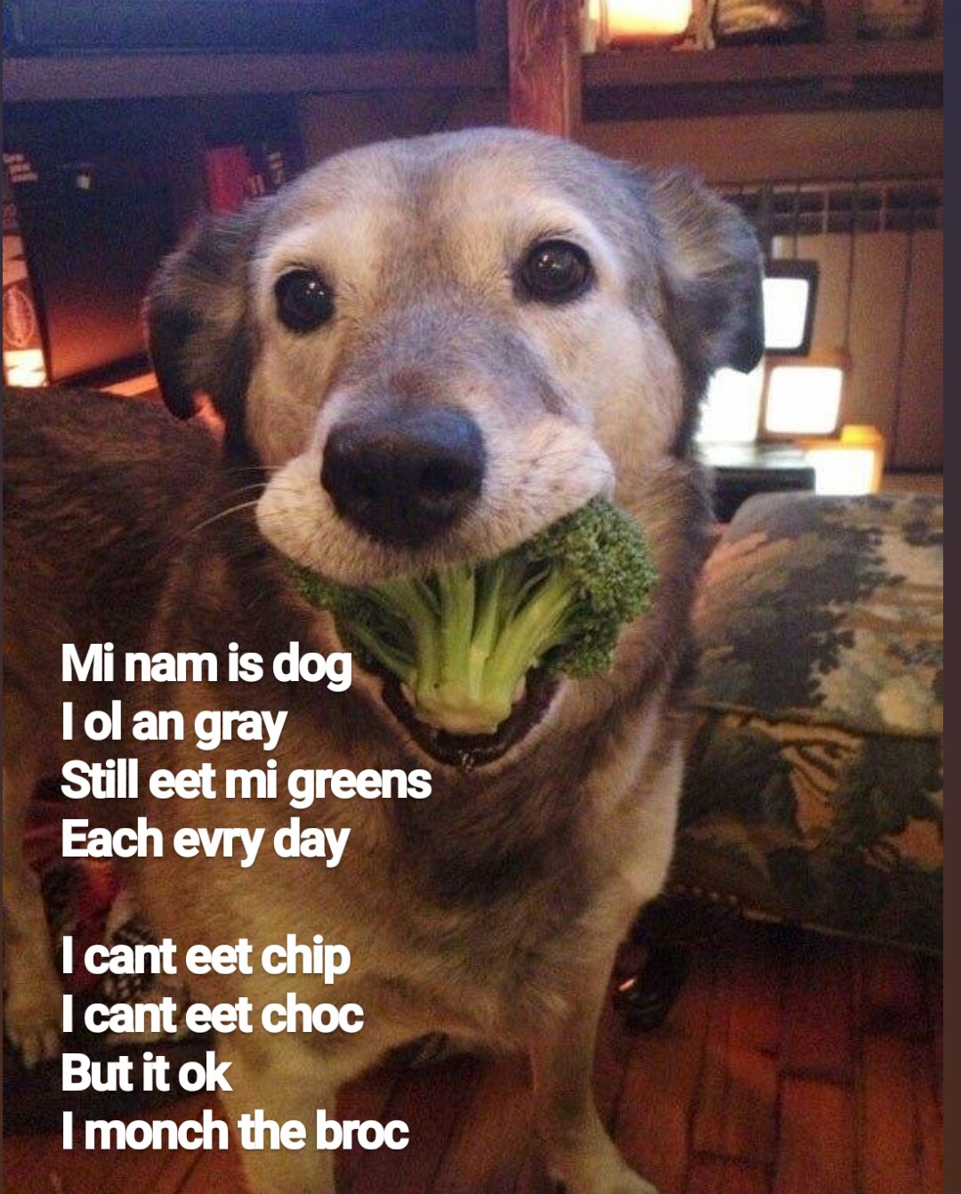 pp7emclx9fa11.jpg