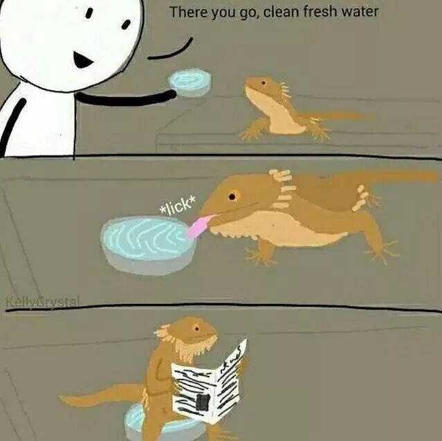 1cc3eda2eec233ddfb4ed6ad32252725.jpg