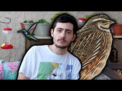 youtu.be