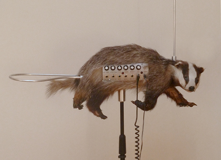a98118_badgermin01.jpg