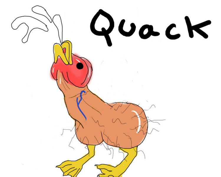 Duck_edited.jpg