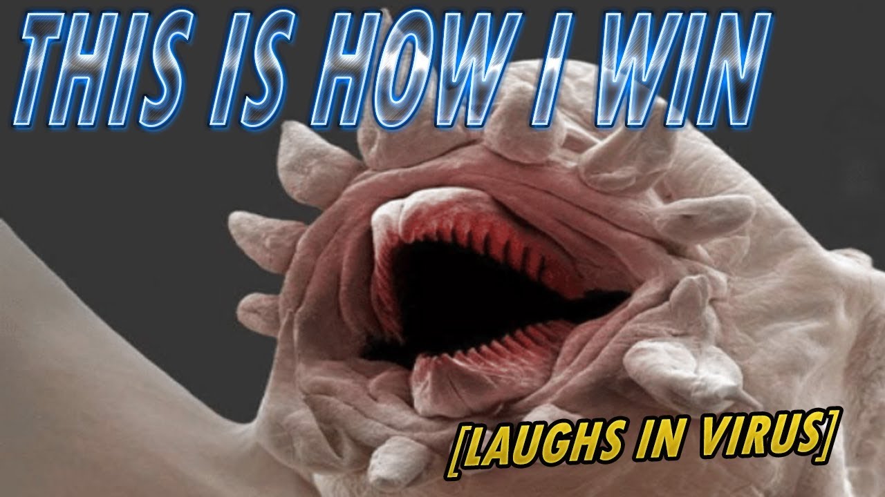 www.youtube.com