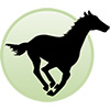 runninghorserealty.com