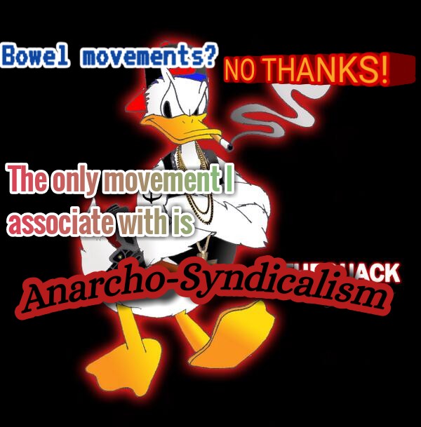 hovvz5ttrle41.jpg