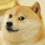 ZcEQPBh.gif