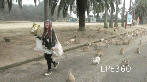 IEJcPZH.gif