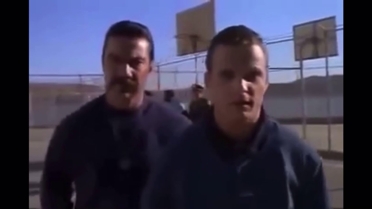 youtu.be