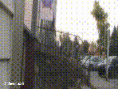 PSjRaeI.gif