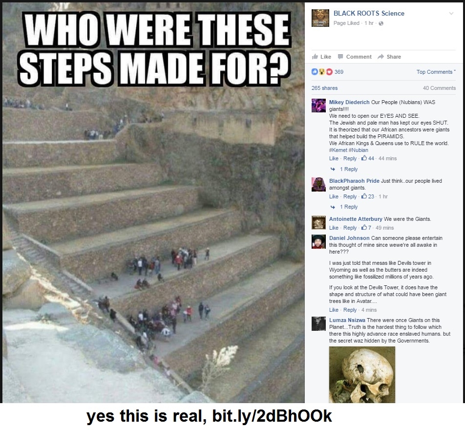 153316.jpg